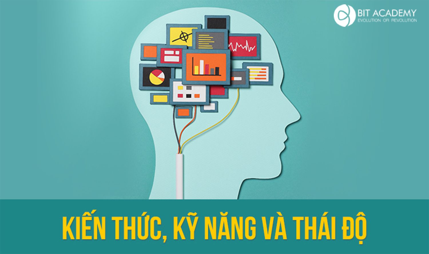 KIẾN THỨC, KỸ NĂNG VÀ THÁI ĐỘ