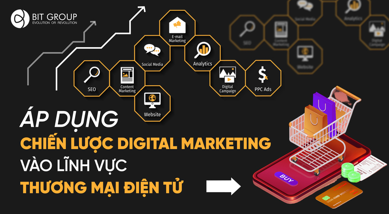 ÁP DỤNG CHIẾN LƯỢC DIGITAL MARKETING VÀO LĨNH VỰC THƯƠNG MẠI ĐIỆN TỬ