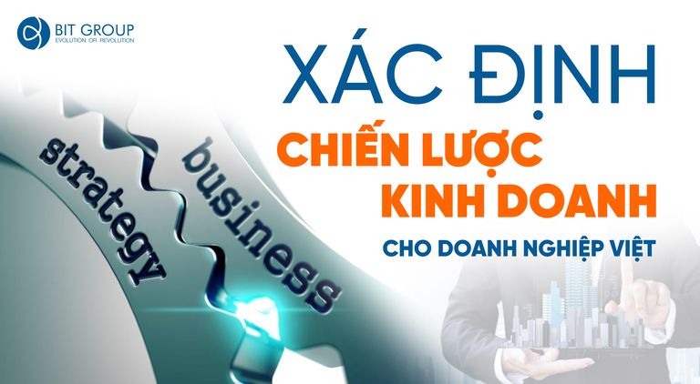 XÁC ĐỊNH CHIẾN LƯỢC KINH DOANH CHO CÁC DOANH NGHIỆP VIỆT NAM